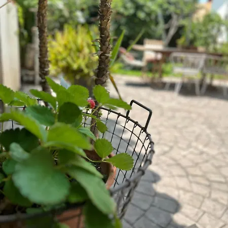 At In Malaga & Solo Travellers Couette-café Rincón de la Victoria