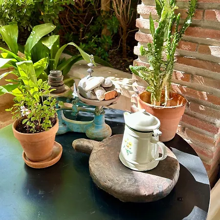 Bed & Breakfast At In Malaga & Solo Travellers Rincon de la Victoria